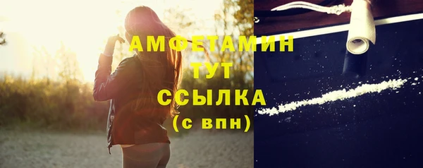 гидра Михайловск