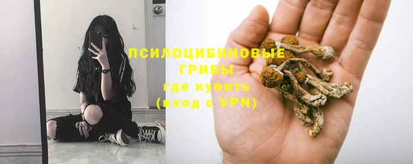гидра Михайловск