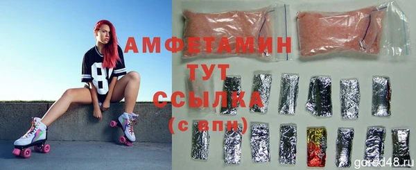 гидра Михайловск